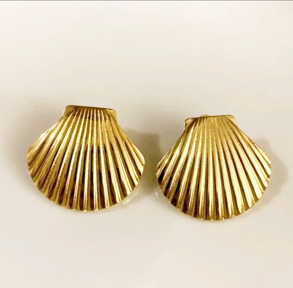 Shell Ear Studs